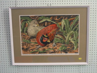 John Tennent, a limited edition coloured print "Pheasant and The Hartstongue" 13" x 18" signed and dated 1973 