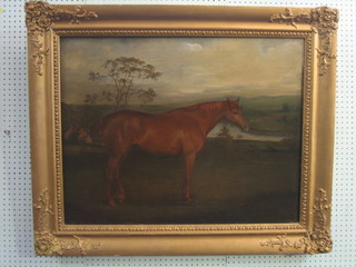 18th  Century oil on canvas "Chestnut Horse in Parkland"  26"  x  33" (re-lined)