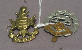 A  Fifth  Cinque  Ports  Regiment cap  badge  and  a  Hampshire Regiment cap badge