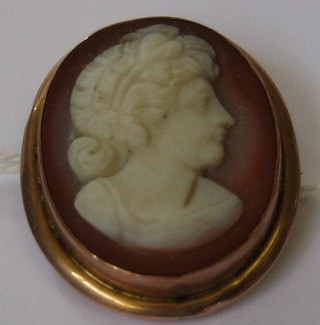 A shell carved cameo portrait brooch contained in a gilt mount