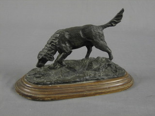 A 19th Century bronze figure of a standing setter, raised on an oval base 12"