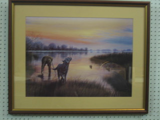 20th Century coloured shooting print "Black Labrador and Gun Emerging from Lake" 14" x 19"