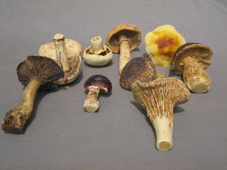10 various 20th Century resin figures of mushrooms