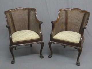 A pair of 19th/20th Century walnut tub back library chairs with woven cane panels, raised on carved cabriole supports