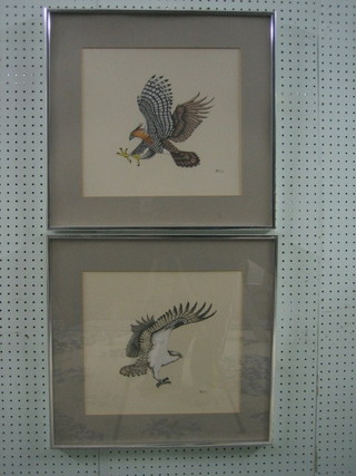 Shelley, a pair of watercolour drawings "Eastern Eagle" 13" x 14"