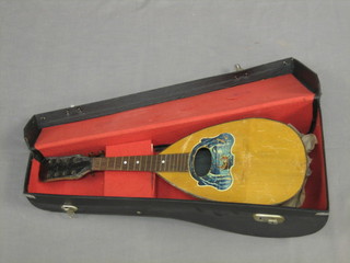 A mandolin (requires some attention), cased