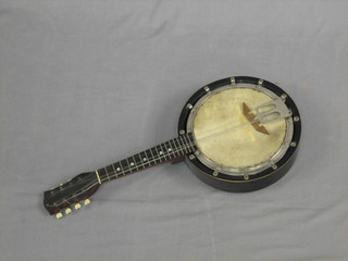 An  8  stringed banjo with 9" circular drum with 12  bolts  to  the sides