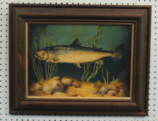 A limited edition coloured print "The Salmon 76lbs 4 ozs Caught in the Dee 1857" 10" x 13"