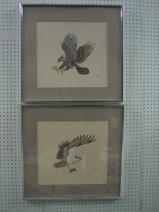 Shelley,  a  pair of watercolour drawings "Eastern Eagle"  13"  x 14"