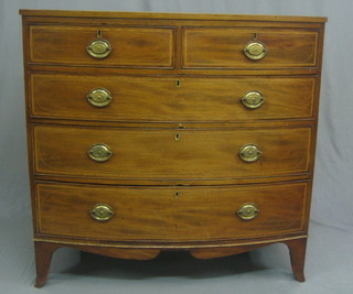 A  Georgian  mahogany  bow front chest of 2 short  and  3  long drawers   with   brass   oval   drop   handles   and    escutcheons, crossbanded, inlaid satinwood and ebony stringing and raised  on splayed bracket feet 41"
