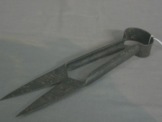 A pair of old steel dagging sheers 12"