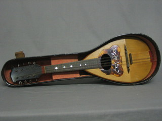 A mandolin complete with carrying case