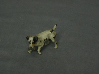 A cold painted bronze figure of a Jack Russell with rat (rat's tail f) 2"