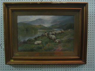 A 19th Century coloured print "Sheep" 11" x 17" contained in a gilt frame