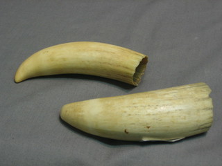 2 ivory whales tusks 5"