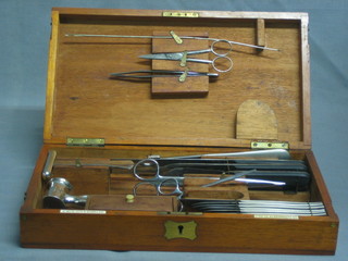 A set of 19th/20th Century veterinary instruments comprising 6 scalpels, hammer and 3 Lister style knives by S Maw Son & Sons Ltd 7 - 21 Aldersgate St