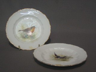 A pair of Victorian Worcester plates decorated a swallow and a robin, the reverse with puce Worcester mark and 20 dots