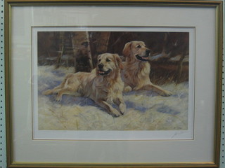 Modern limited edition coloured print "Two Seated Retrievers" signed in the margin 12" x 18"