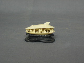 An Eastern carved ivory clam 3"