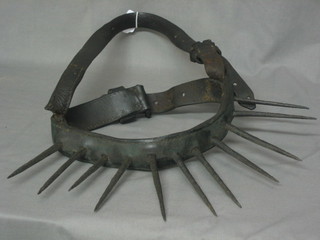 A 19th/20th Century iron and leather calf weaning harness
