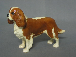 A Beswick figure of a standing King Charles Spaniel 7"