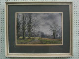 Angus Rands, watercolour "April Near Castle Howard" signed 12" x 18"