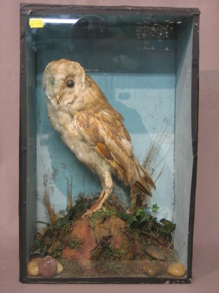 A Victorian stuffed and mounted owl, cased