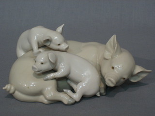 A Lladro figure of a curled pig with piglets 6"