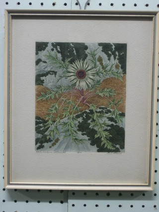 A coloured etching "Study of Flowers" 6" x 5" 
