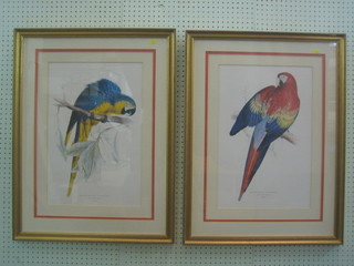 A pair of reproduction coloured prints from Macrocercus Ararauma "Blue and Yellow Macaw and Red and Yellow Macaw" 21" x 13 1/2"
