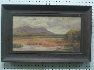 Watercolour drawing "Lake Scene with Ducks, Mountains in the Distance" 8" x 14 1/2"
