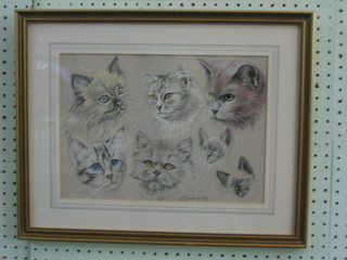 Raymond Kay, gouache drawing "Study of 7 various Cats Heads"  9" x 13" signed
