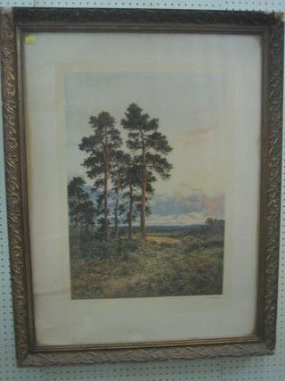 B W Leader, a coloured print "Trees"  signed in the margin with blind proof stamp 24" x 17"