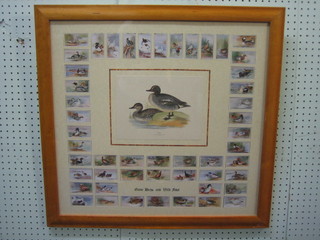 50 Players cigarette cards "Game Birds and Wild Fowl" mounted in 1 frame