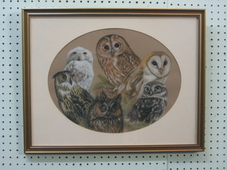 Susan M Geere, pastel drawing "Study of Owls" 11" oval
