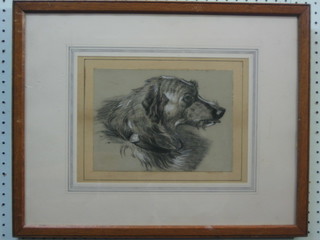 A 19th Century pencil drawing, head and shoulders portrait "Dog" 7" x 10"