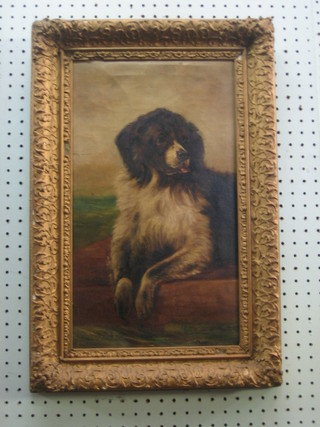 Victorian oil on canvas, "Seated Dog" 16" x 10"