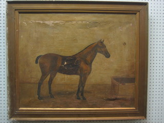 18th/19th Century oil on canvas "Standing Bay Horse" monogrammed H F, 21" x 26" (some paint loss)