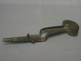 A pair of old iron dagging shears