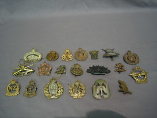 20 various Commonwealth and foreign cap badges