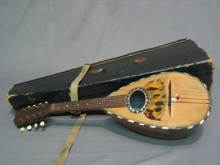 A cased mandolin (no label)