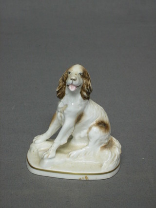 A Royal Worcester model of a seated Springer Spaniel 4"