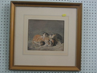 F S Lowther, watercolour drawing "Sleeping Kittens" signed and dated 1828 8" x 9"