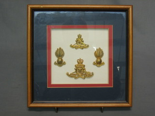 2 Staybright Royal Artillery cap badges and a pair of collar dogs, framed