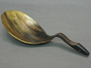 A large horn scoop