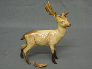 A Beswick figure of a standing Stag (antler f), 8"