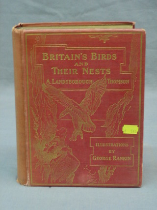 A Lansborough Thomas "British Birds and Their Nests" illustrated by George Rankin 1910