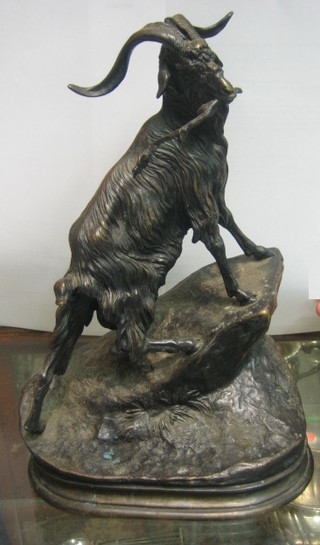 A 19th Century bronze figure of a standing goat on a rocky outcrop, 11"