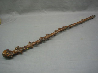A wooden walking stick