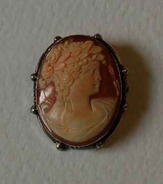 A shell carved cameo portrait brooch of a lady